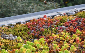 the cost of Etton green roof installation