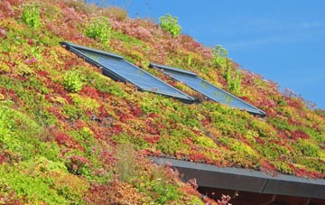 Etton living roof systems