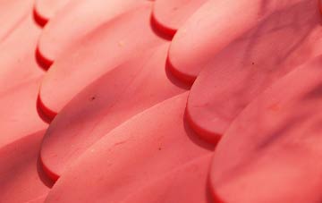 Etton plastic roof costs